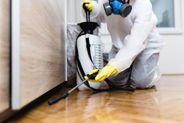 Best Residential Pest Control  in Lorton, VA
