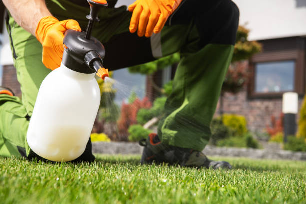Best Pest Removal Services  in Lorton, VA