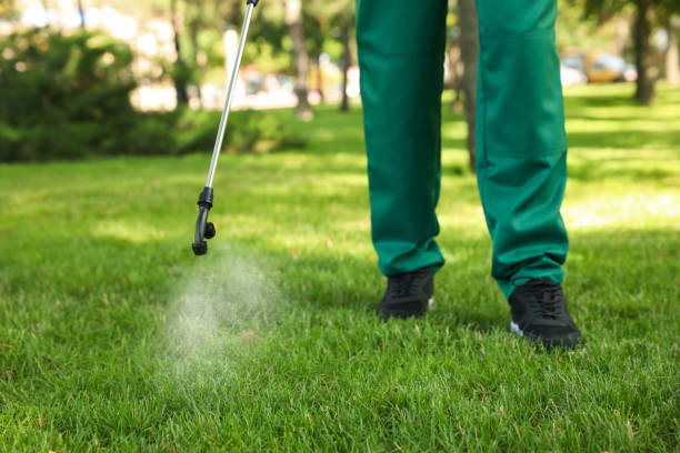 Reliable Lorton, VA Pest Control Solutions