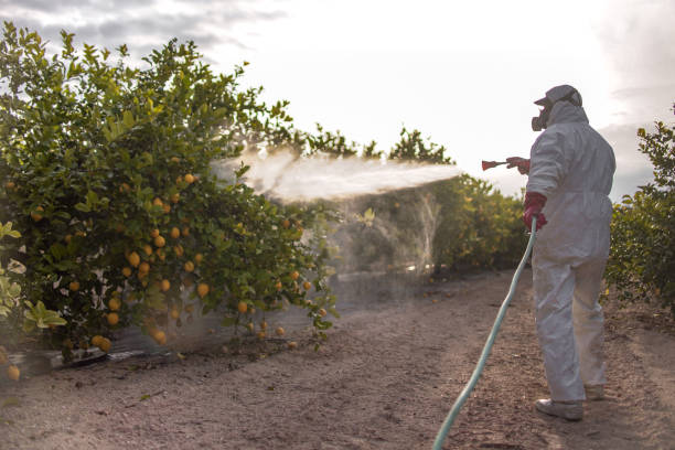 Best Pest Prevention Services  in Lorton, VA