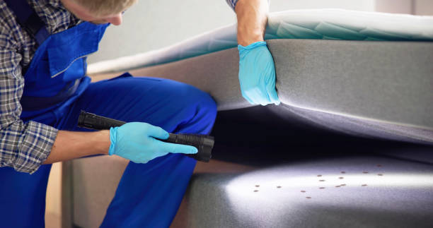 Best Cockroach Control Services  in Lorton, VA