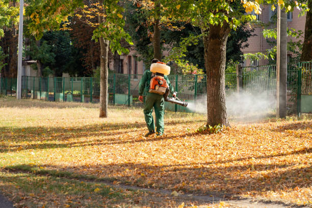 Best Rat Extermination Near Me  in Lorton, VA