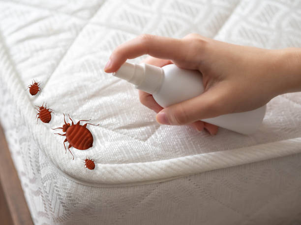 Best Pest Control for Businesses  in Lorton, VA